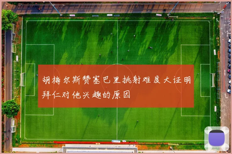 胡梅尔斯赞塞巴里挑射难度大证明拜仁对他兴趣的原因