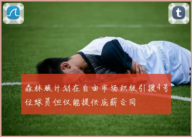 森林狼计划在自由市场积极引援4号位球员但仅能提供底薪合同